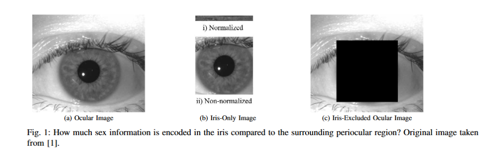Iris